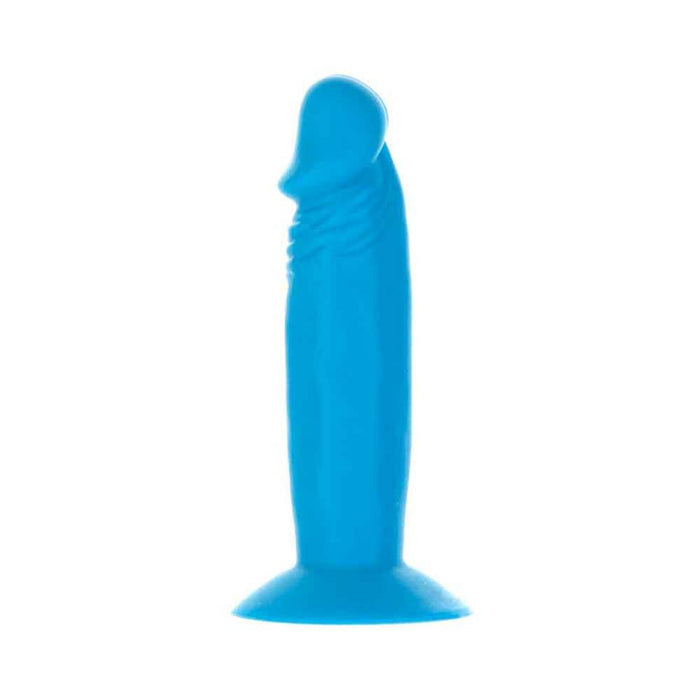 Addiction Silly Willy 3.3 in. Silicone Dildo 12-Piece Assorted Color Fishbowl Display