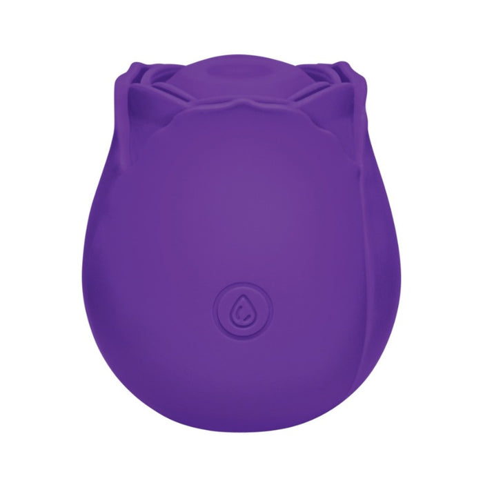 Me You Us Signature The Tapping Rosebud Purple