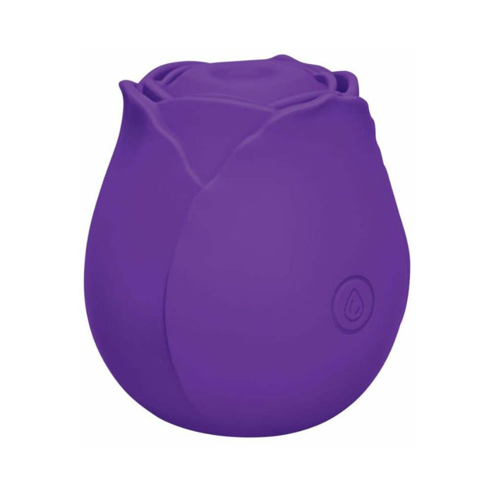 Me You Us Signature The Tapping Rosebud Purple