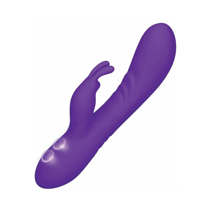 Me You Us Signature The Rabbit Purple