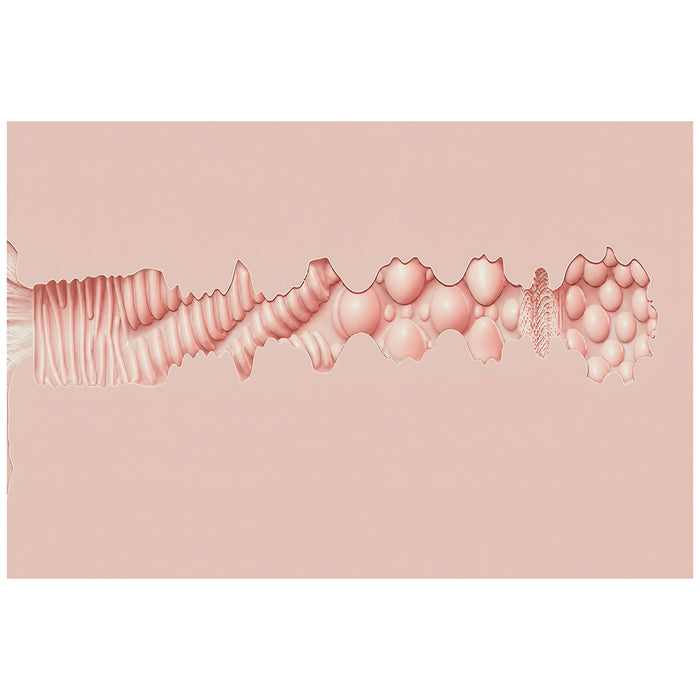 XKIN Body-Forms Stav Stone Ass Vibration + Suction + Voice Masturbator