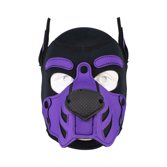 Merci Puppy Hood Neoprene Violet/Black