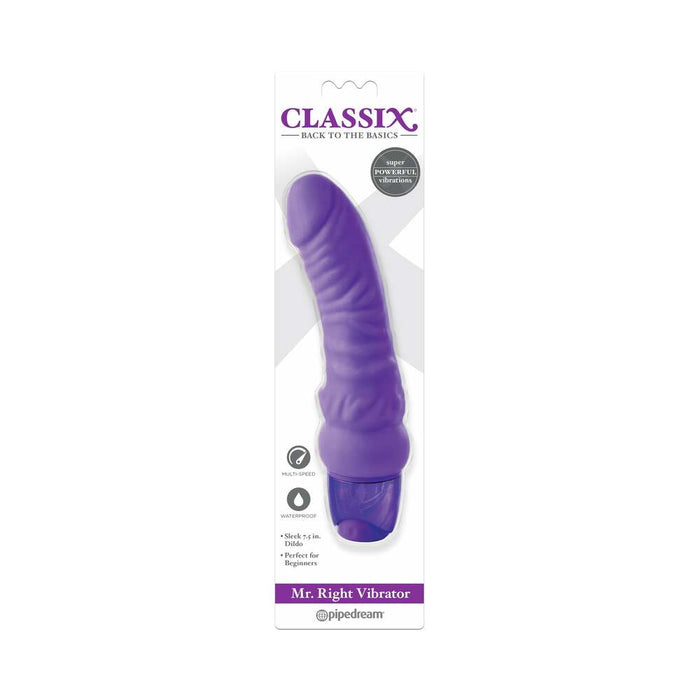 Pipedream Classix Mr. Right Vibrator Realistic 6.5 in. Vibrating Dildo Purple