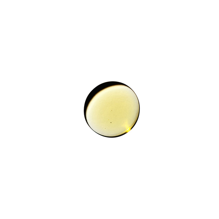 Dame Sex Oil Massage Oil 2 oz.
