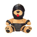 Bondage Bearz Gary Gag Ball