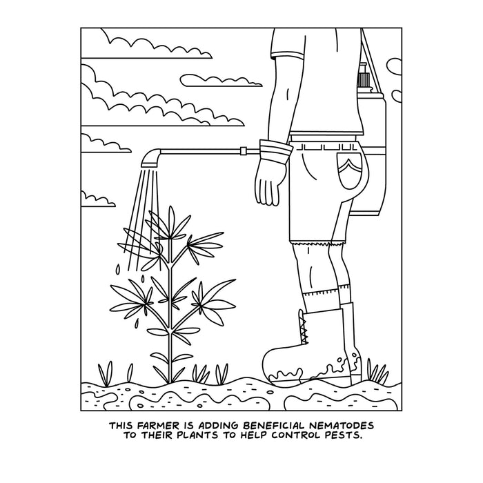 A Visit To The Cannabis Farm Coloring Book