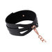 Sportsheets Sex & Mischief Brat Collar & Leash
