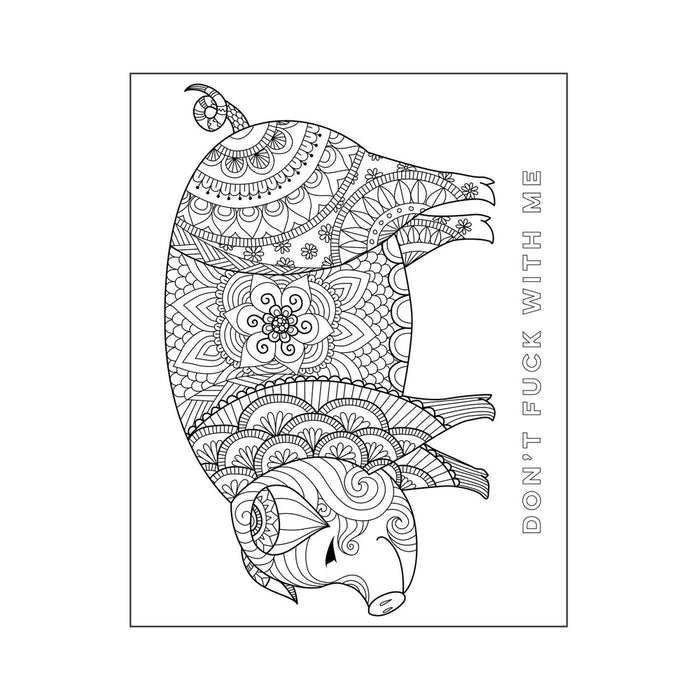 The Swear Word Coloring Book
