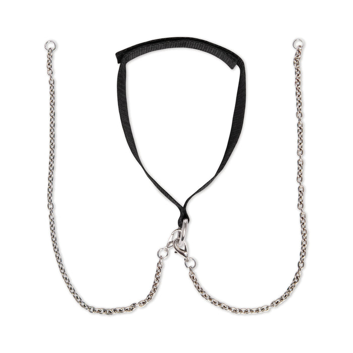Lux Fetish Interchangeable Collar & Nipple Clips 12-Piece Set