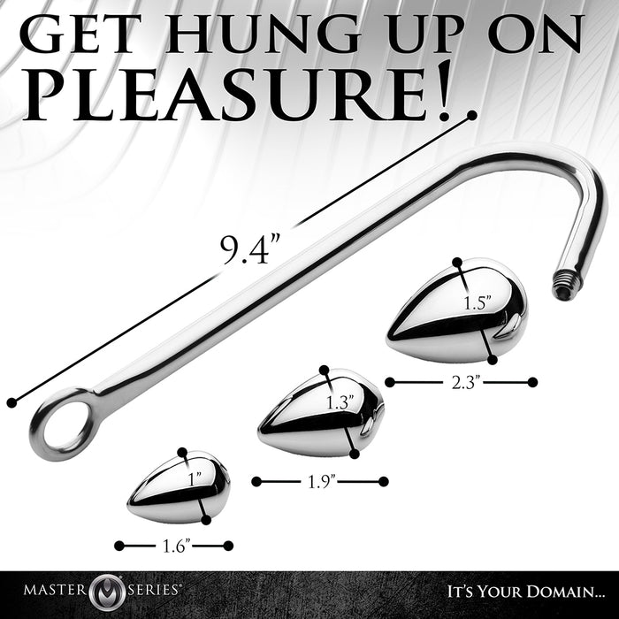 Master Series Anal Hook Trainer Anal Hook with 3 Plugs