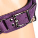 Strap U Bodice Deluxe Leather Corset Harness Purple
