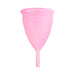 FEMINTIMATE Eve Menstrual Cup Size L