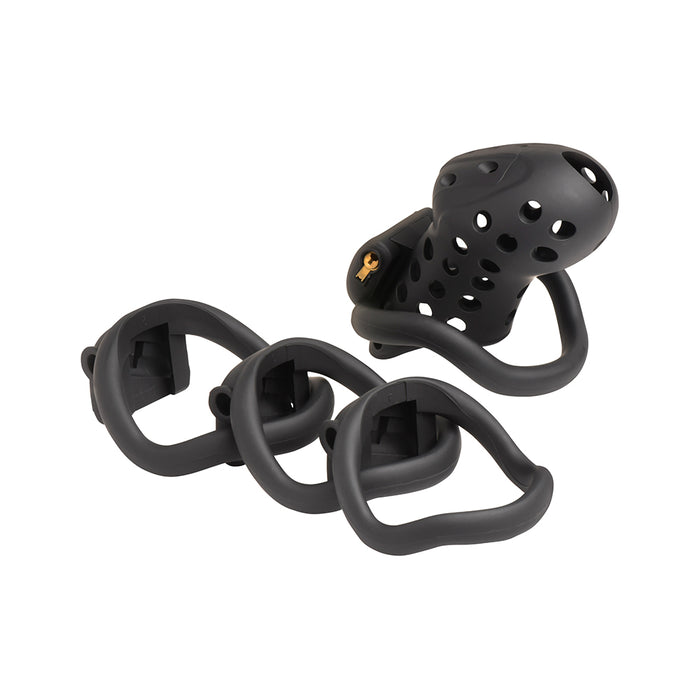 Master Series Lock Down Chastity Cage
