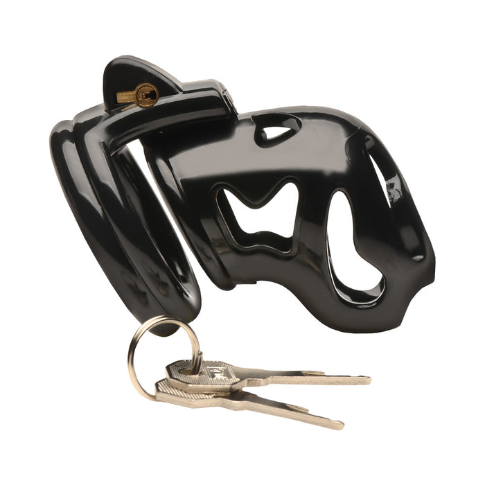 Master Series Double Ring Chastity Cage