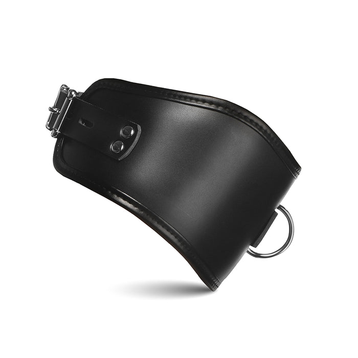 Master Series Hard Stance Padded Locking Posture Collar