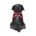 Prowler RED Booted Up Bandit