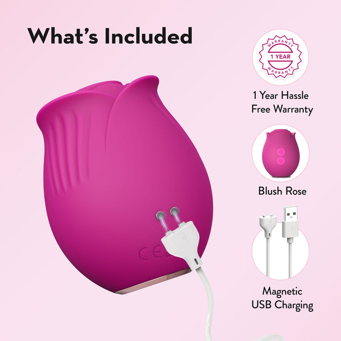 Blush Collection The Original Blush Rose Velvet