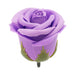 Je Joue Midnight Magic: Duet Bullet, Mio Ring, Feather Tickler, Rose Bath Melt
