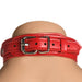 Master Series Vixen Chest Harness Red