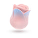 Blush Collection Kissing Rose Pink