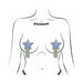 Pastease Star: Tassel Pasties: Silver Glitter Star with Fringe Pasties