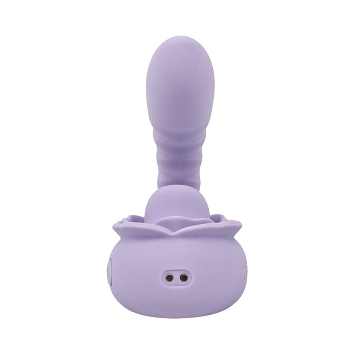 Adam & Eve Lilac Licks