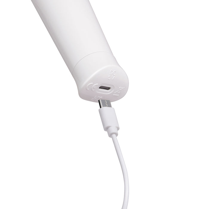 Le Wand Classique Petite Wand Massager