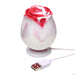 Bloomgasm The Rose Lover's Gift Box Swirl