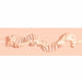 Xkin Raw Pure Stretch Stroker Beige