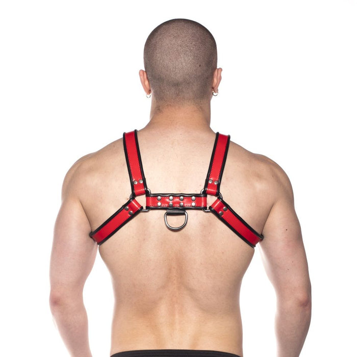 Prowler RED Bull Harness Black/Red M