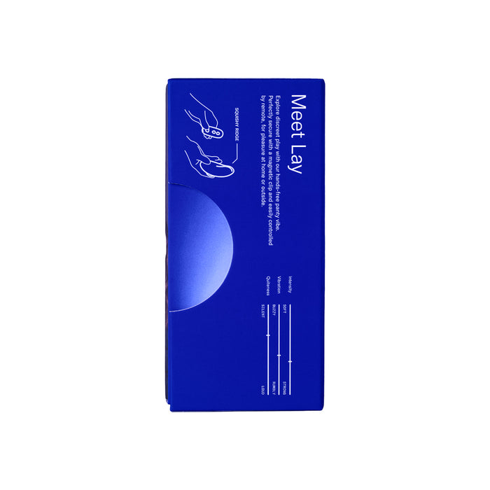 Dame Lay Panty Vibrator with Remote Control