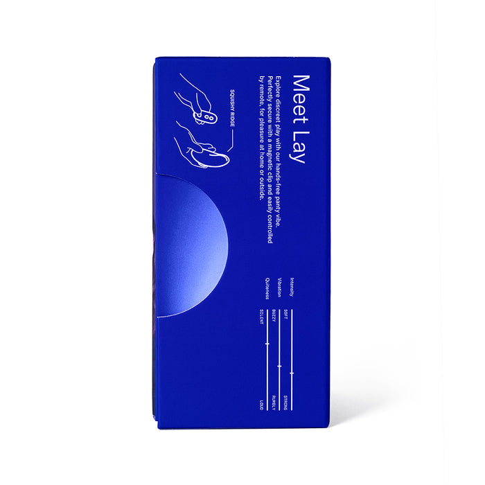 Dame Lay Panty Vibrator with Remote Control