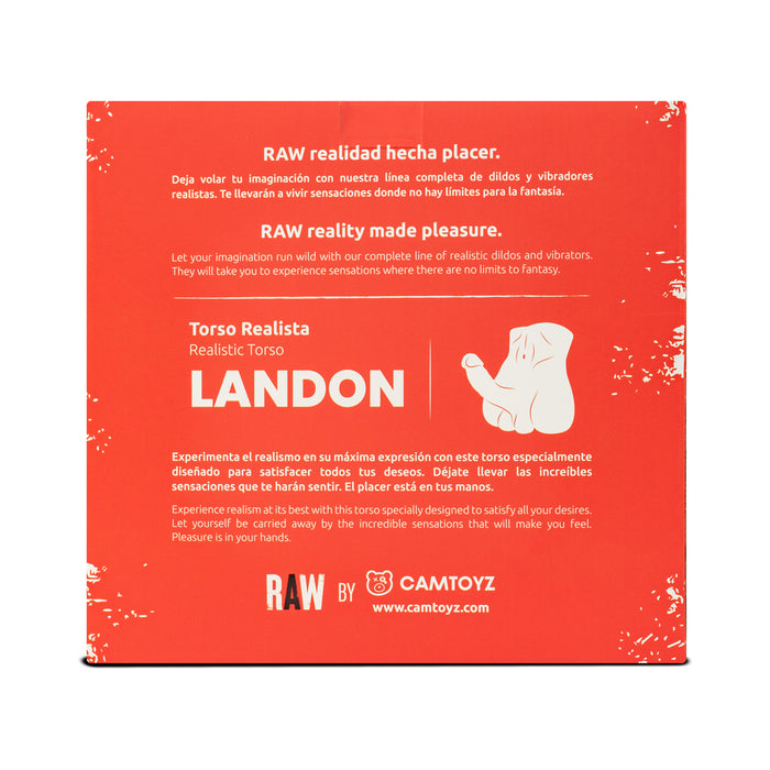 Camtoyz Realistic Torso Landon