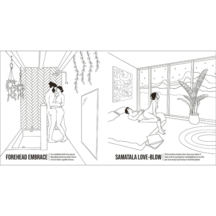 The Kama Sutra Coloring Book: For Maximum Pleasure and Relaxation