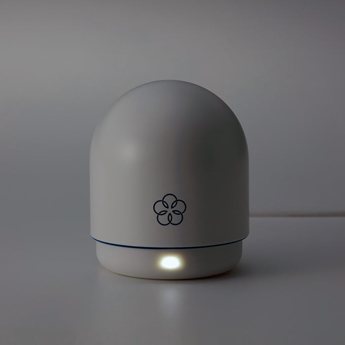 iroha Temari MIZU Vibrator
