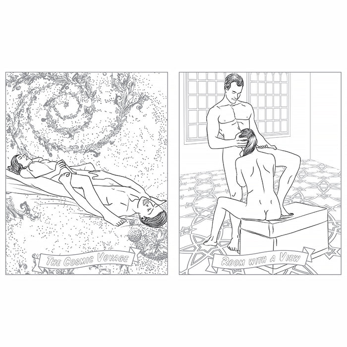 Sex Position Coloring Book: Playtime for Couples