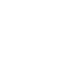 New Dildos and Dongs