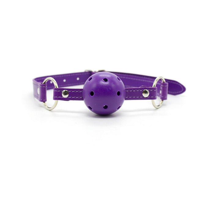 Ple'sur 12-Piece Everything Bondage Kit Purple